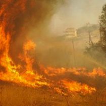 Laatste nieuws bosbranden Samos
