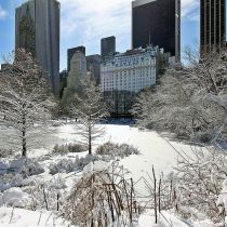 New York verwacht recordsneeuw