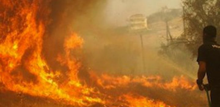 Laatste nieuws bosbranden Samos