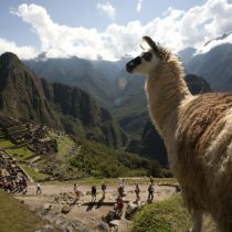 Groot onderhoud Machu Picchu en Huayna Picchu