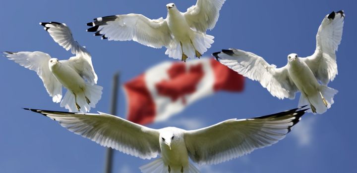 ETA Canada vanaf 29 september verplicht