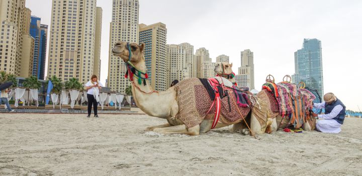 Vorig jaar weer een recordjaar voor Dubai