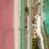 Bonaire adopteert koraal namens milieubewuste bezoekers die campagne steunen