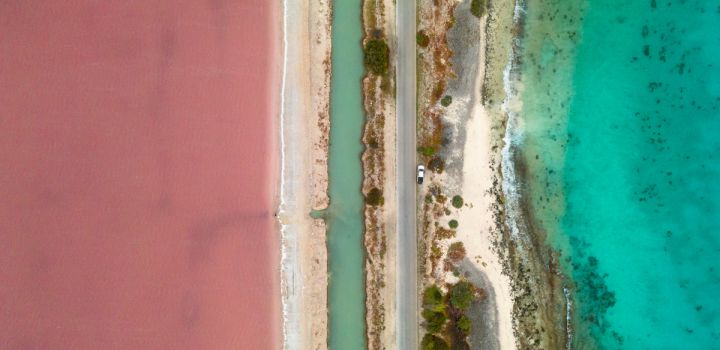 Bonaire adopteert koraal namens milieubewuste bezoekers die campagne steunen